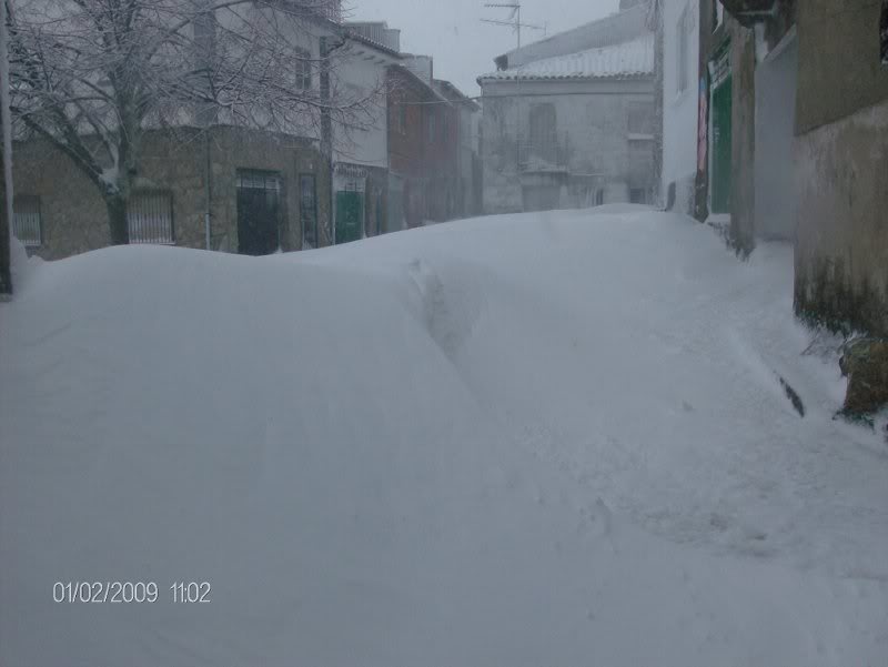 nieve1feb2008_0 4