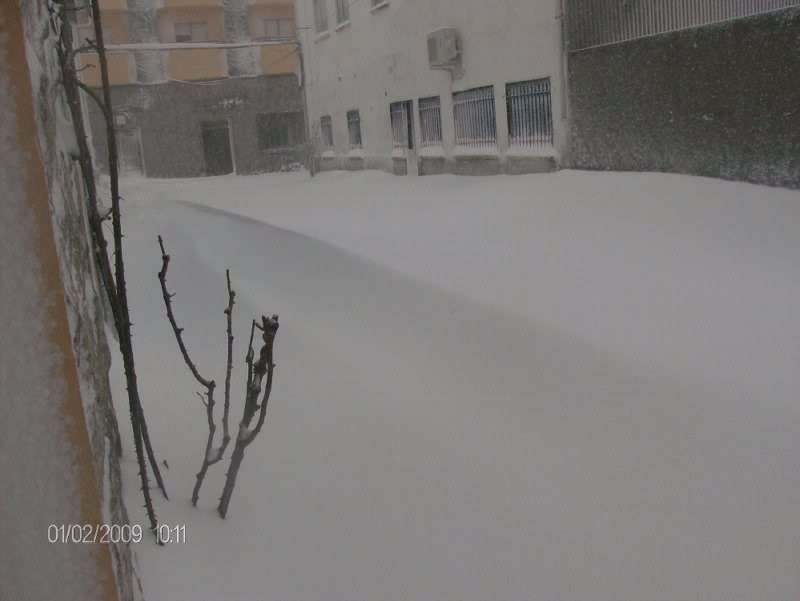 nieve1feb2008_0 8