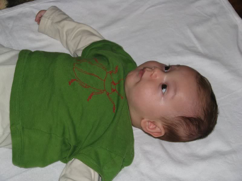 Ce chestie...n-as fi crezut!