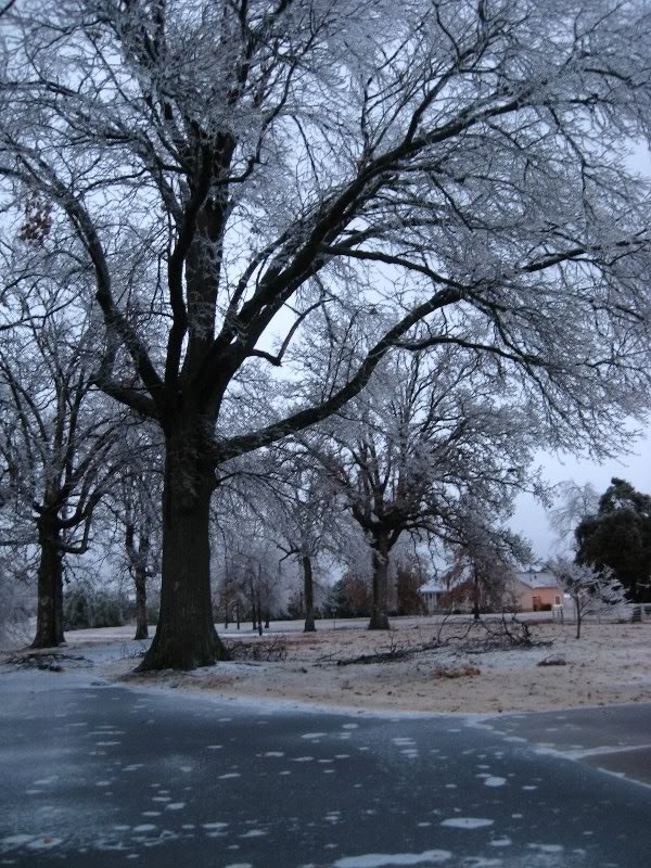 Looking down the driveway
