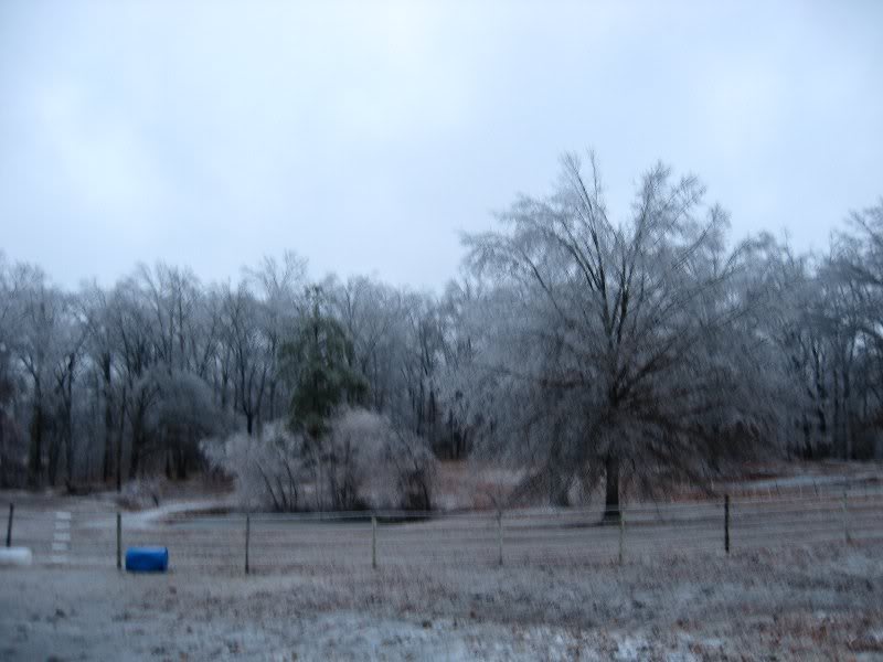 Looking out on side pasture