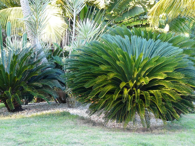 Just a little part of the landscaping