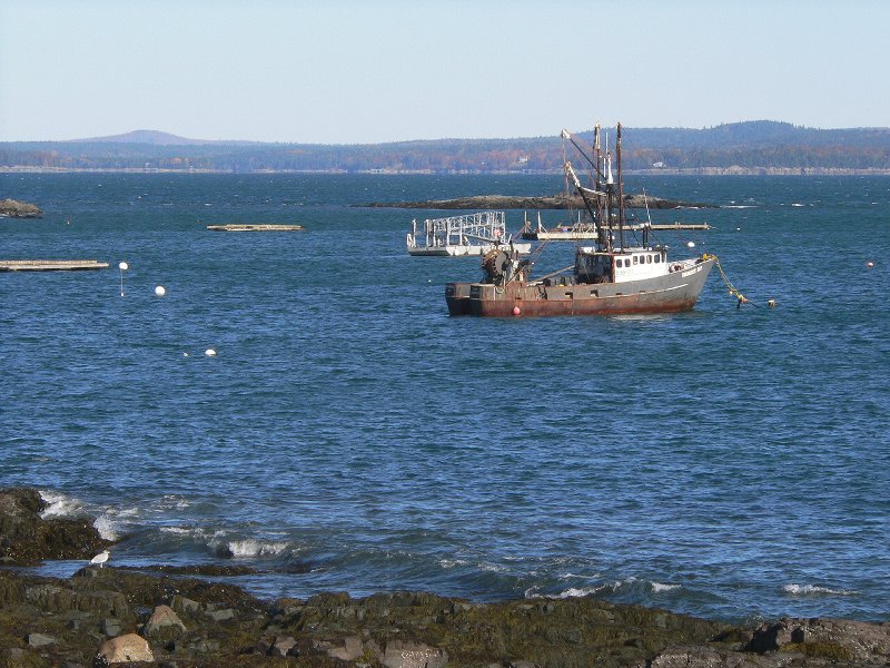 BarHarbor - Frenchman's Bay1