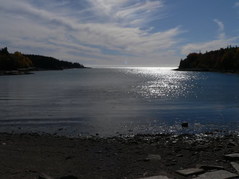 Otter Cove - Acadia National Park
