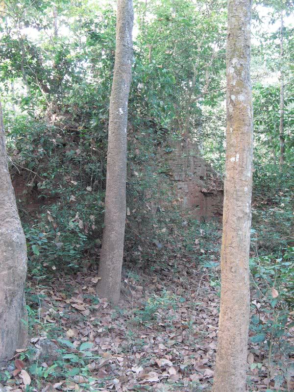 Svay Reing - 'Just Like Angkor Wat'