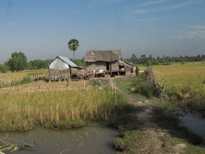 Svay Rieng - House in the Rice Fields