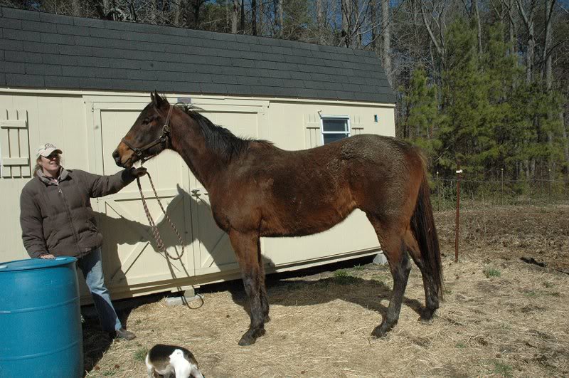 Dixie Rumble 3-10-08