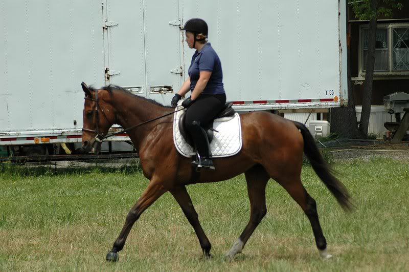 flint getting some muscle