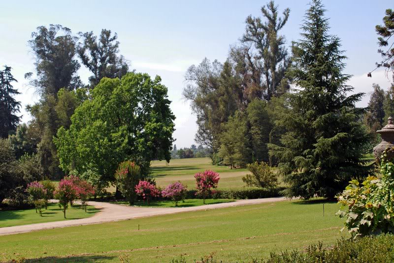 Chile - Maipo Valley - Conchy y Toro Vineyard - Private...