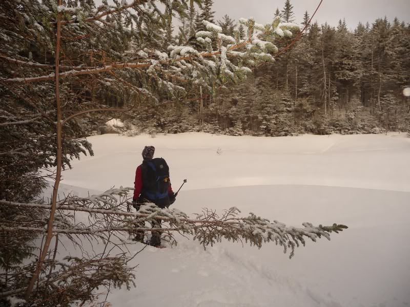 03-NANCY SETS OFF AT THE HERD PATH
