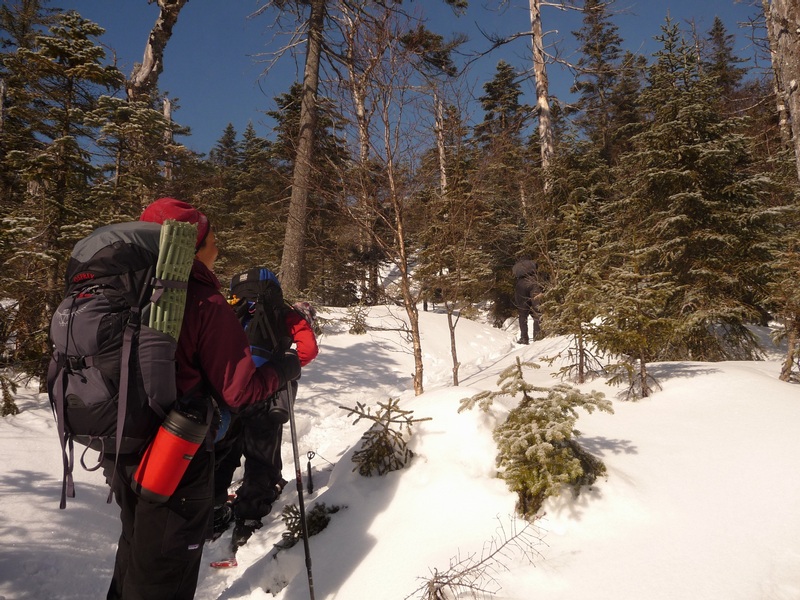 07-JIM IN THE LEAD--A BLUEBIRD DAY