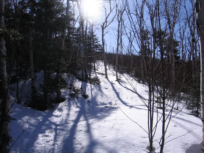 Going towards Burnt Area