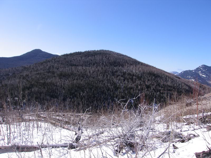 Next Destination-Bea r Den Mountain @3,423 ft