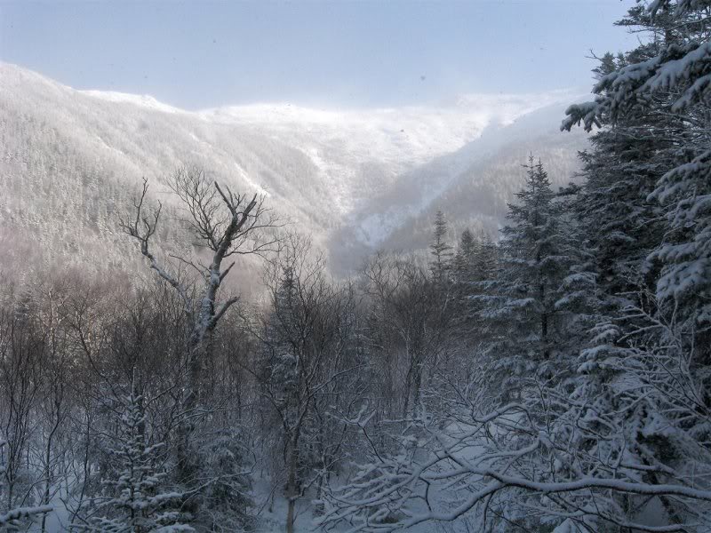 Light snow and in the clouds in the ravine