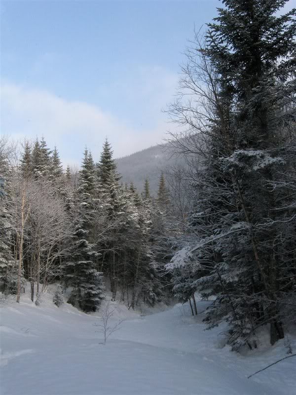 The Ammonoosuc - covered up