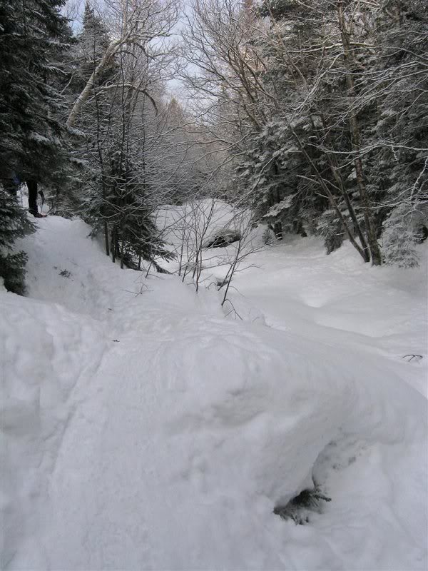 The trail follows the Ammonoosuc