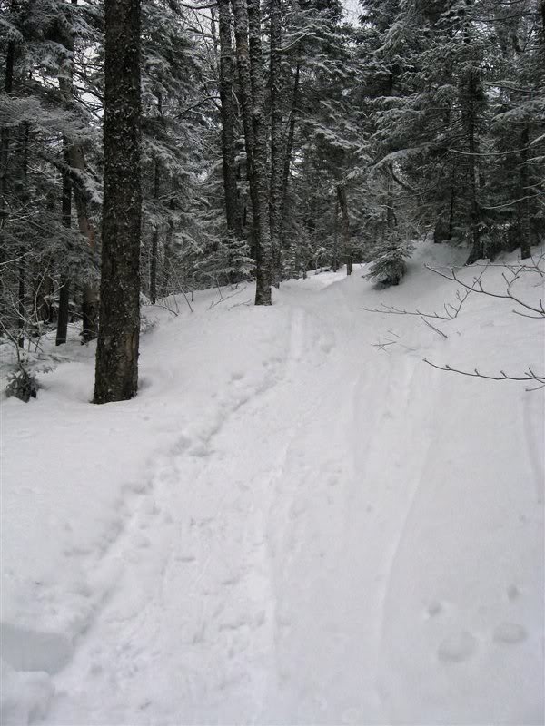 Well-packed Ammonoosuc Ravine Trail