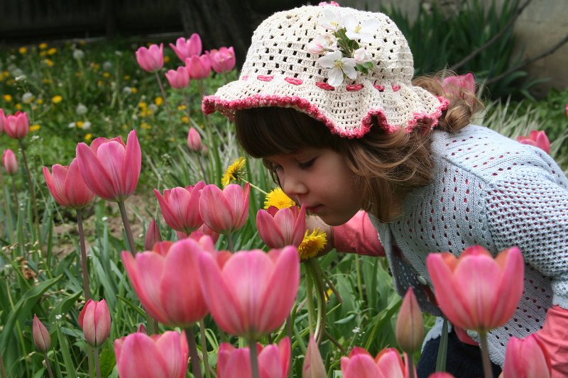 O floare intre flori