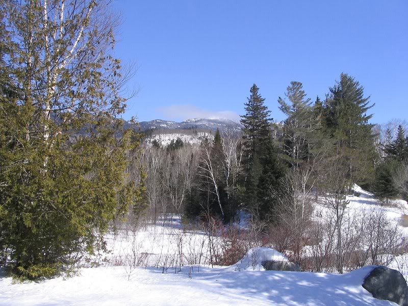 View of the mountain from the pond outlet