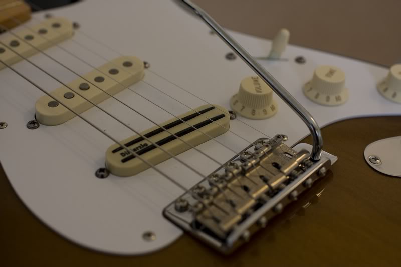 20090304_My_Gui tars_1