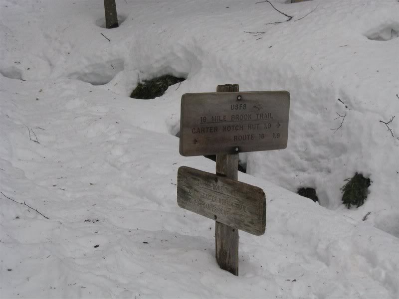 Head left today on the Carter Dome Trail, fair amount o...