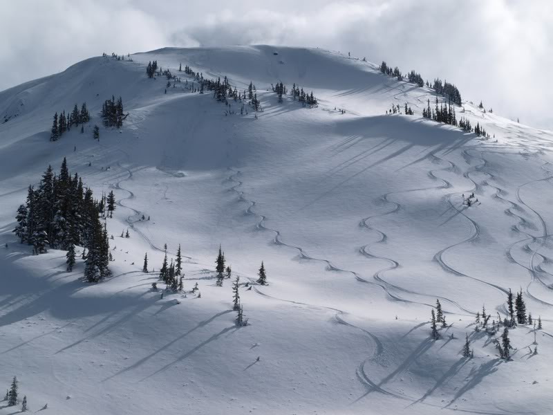 Whistler (14)