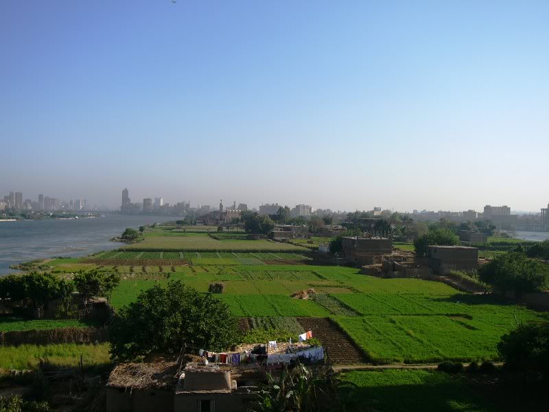 Farming on the Nile.