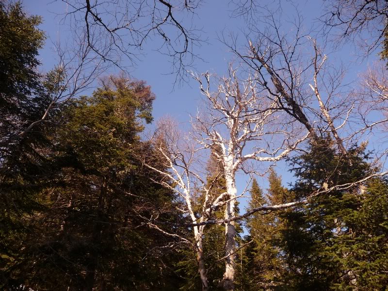 02-GONNA BE A WINNER