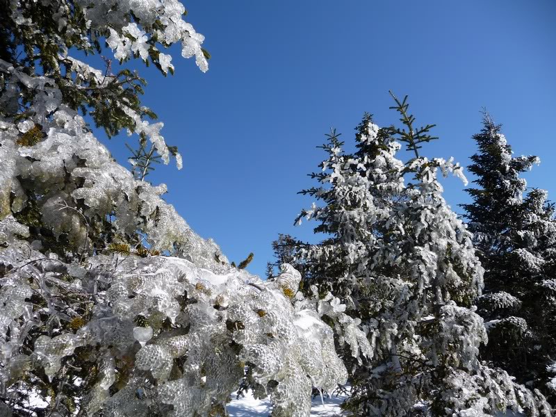 03-EVERYTHING IS COVERED