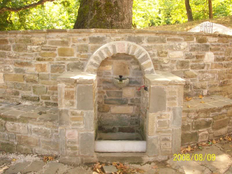 9 Kroi te rrapi i vogel