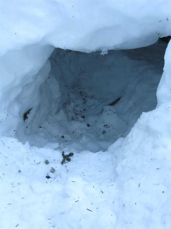 Snow Cave on Valley Way, 1/2 mile below hut