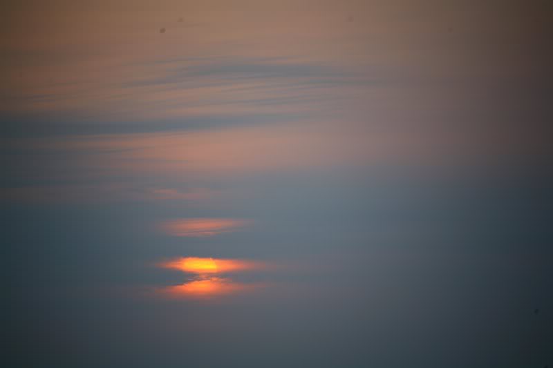 �O���T�M�s���X