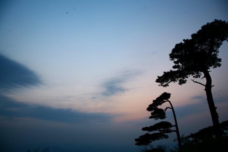 ���q���h