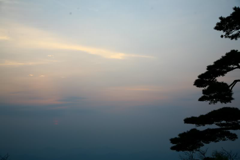 �������S