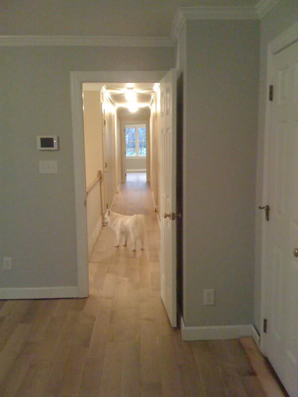 Looking from Master out to the hallway