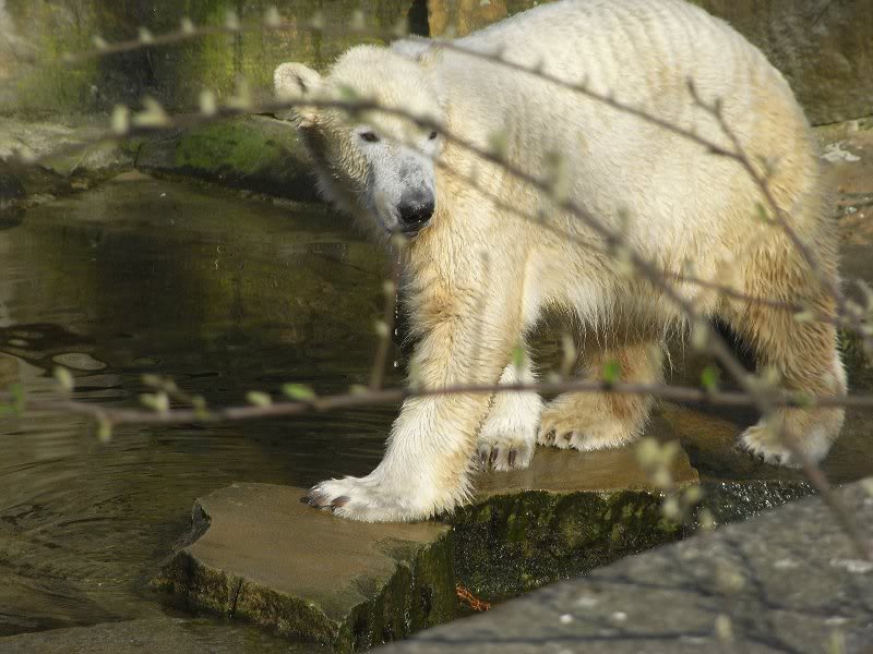 Ein anderes Spielzeug muss her!