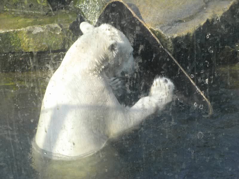 Ich will jetzt surfen.