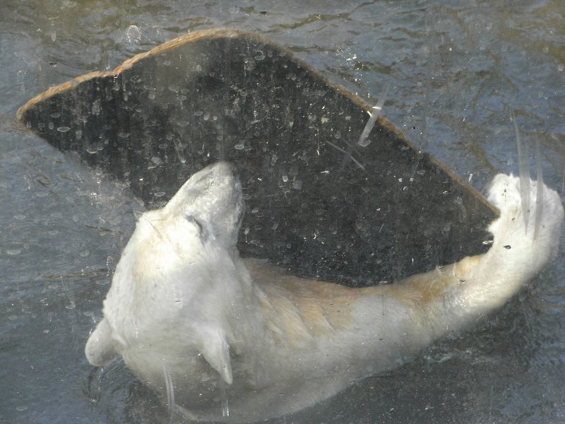 Wo bleibt die Welle?