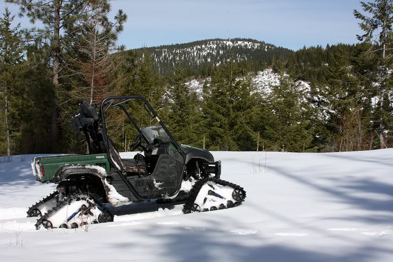 Rhino Signal 4-5-09 IMG_9393
