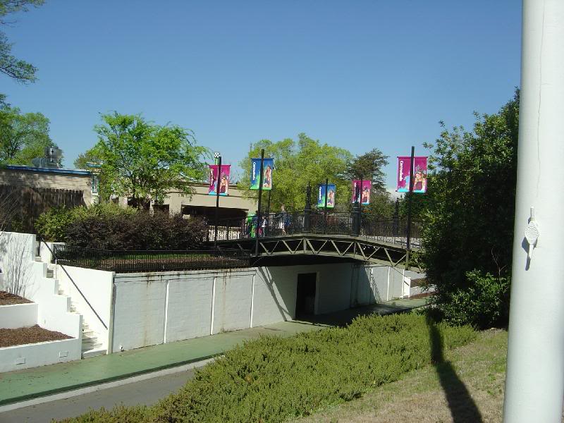 DSC06905