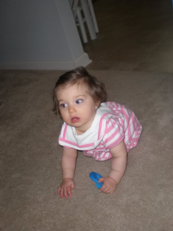 gabriela is 11 months old too!