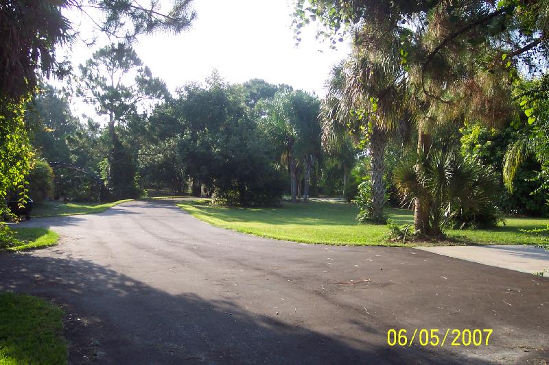 Asphalt driveway heading away from house.