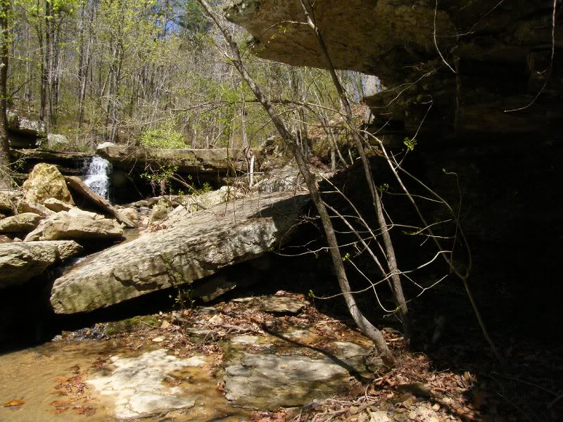 POOL EXIT SLIDE AND STEP