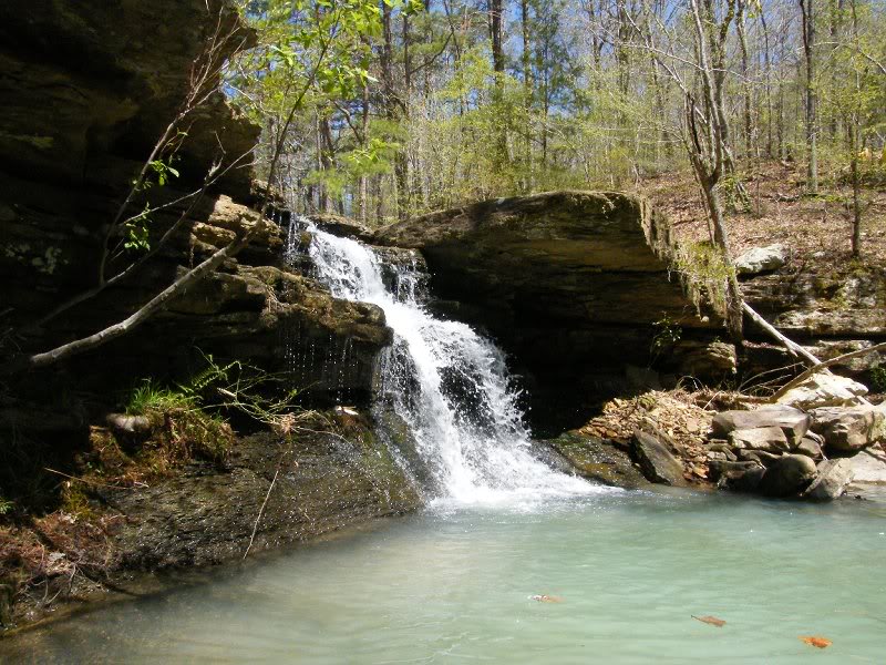 YOU COULD RUN THIS FALL....