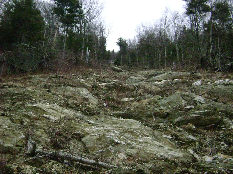 View up from first pitch