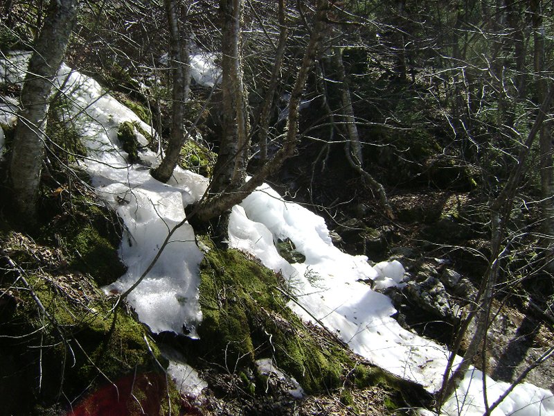 Ice in the brook near the top