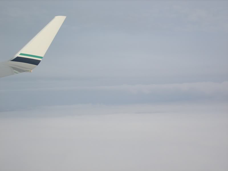 Alaska Airlines Wingtip