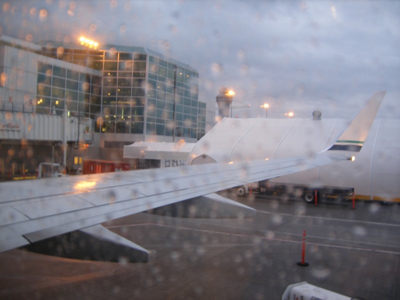 Day 1: Your Typical Portland Morning