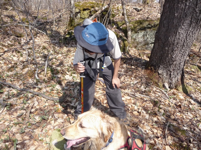 03-SERIOUS BLACK FLY CONDITIONS