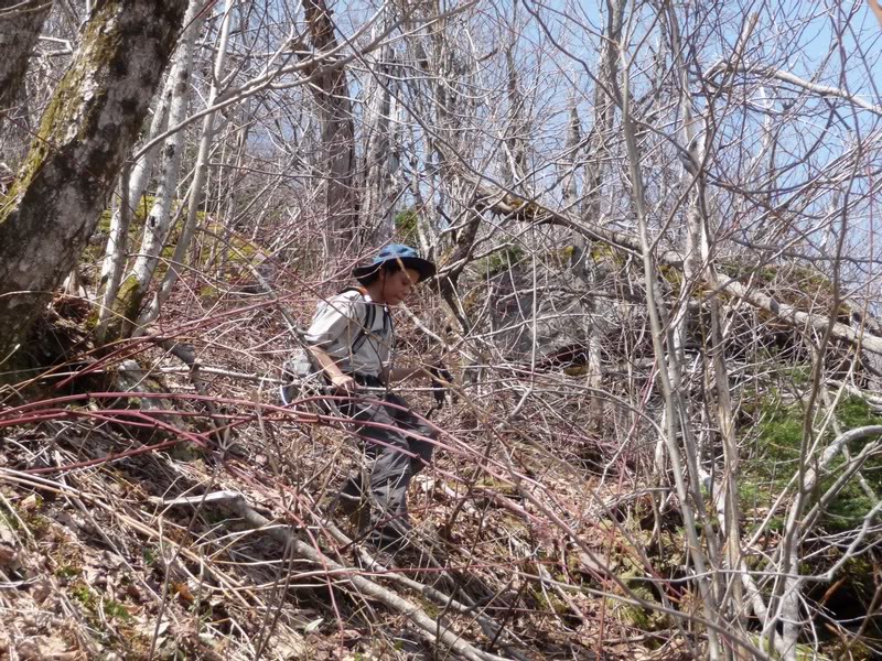 06-WACKIN THRU THE THICKS